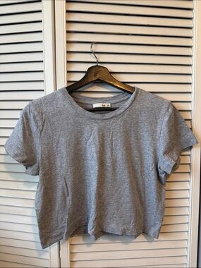 Aritzia Heather Gray Crewneck Crop Tee
